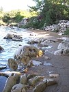 Baia Jaz - camminando nella pineta